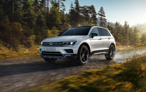 Silver SUV Volkswagen Tiguan on the background of the forest