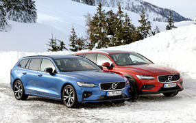 Two cars Volvo V60 on the background of snow-covered forest