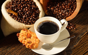 Coffee beans on a table with a white cup and cookies