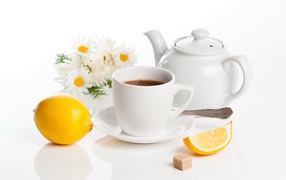 Fragrant tea on a white background with chamomile and lemon