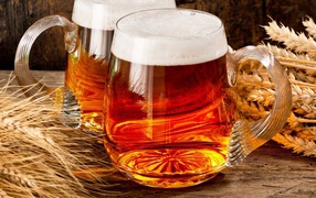 Two glasses of beer on the table with ears of wheat