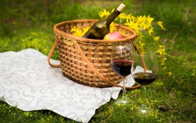 Два бокала вина с корзиной на зеленой траве для пикника 