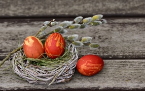 Крашеные яйца в гнезде с веточкой вербы на деревянном столе