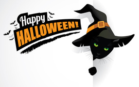 Black cat with a witch hat with an inscription on a white background