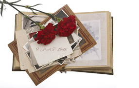 Military album and two carnations on a white background for Victory Day on May 9