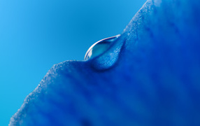 A drop of water on ice against a blue background.