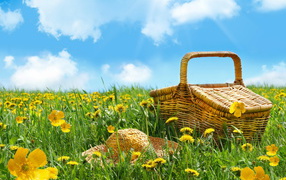 Basket and hat lie on the green grass with yellow flowers