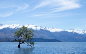 Lonely tree in the water against the backdrop of mountains under a beautiful sky