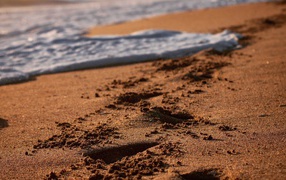 Следы на мокром морском песке с белой пеной