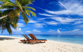 Sun loungers on a tropical beach under blue sky