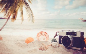 The camera on the beach with shells by the sea