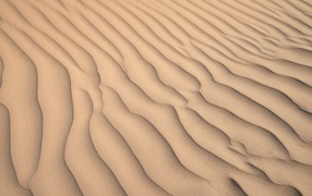 Waves on the yellow sand in the desert
