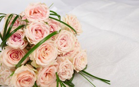 Букет розовых роз на белом покрывале 