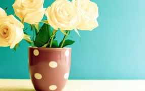 Букет белых роз в вазе на голубом фоне