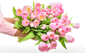 Большой букет розовых тюльпанов в руках на белом фоне