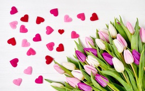 Красивый букет нежных тюльпанов с маленькими сердечками на белом фоне
