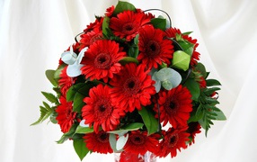 Beautiful bouquet with red gerberas and green leaves
