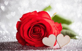Красивая красная роза с двумя деревянными сердечками