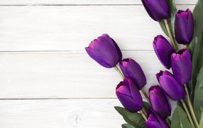 Bouquet of artificial purple tulips on wooden background