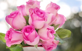 Bouquet of delicate pink roses in a vase