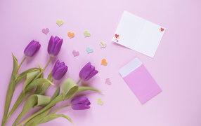 Букет фиолетовых тюльпанов на розовом фоне шаблон для открытки