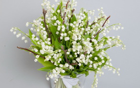 Bouquet of white lily of the valley in a vase on a gray background