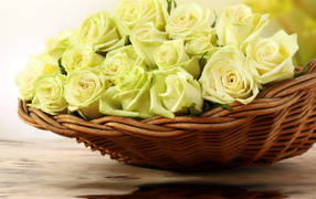 Bouquet of white roses in a wicker basket