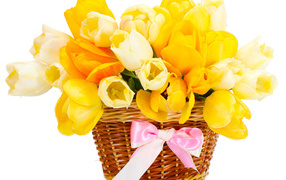 Bouquet of yellow and white tulips in a basket with a pink bow on a white background
