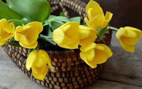 Bouquet of yellow tulips in a basket on the table
