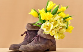 Букет желтых тюльпанов в старых ботинках 
