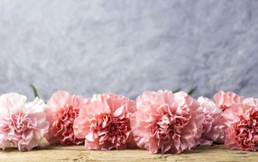 Розовые гвоздики лежат на деревянном столе
