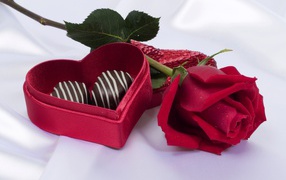 Red rose with heart shaped box of chocolates