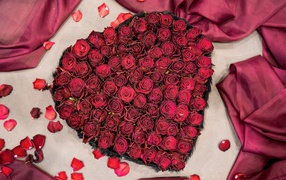 Красные розы в коробке в форме сердца вид сверху