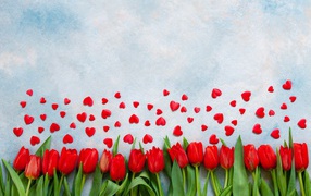 Красные тюльпаны на голубом фоне с красными сердечками