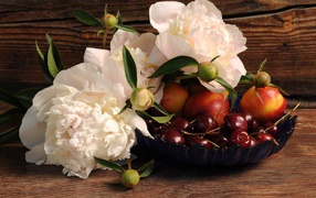 Три красивых белых пиона на столе с вазой с черешней и нектарином