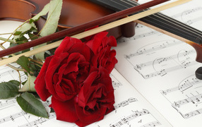 Три красных розы на нотах со скрипкой 
