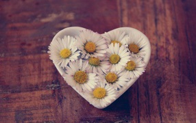White daisies in a heart-shaped bowl
