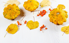 Патиссоны с желтыми листьями и рябиной на столе