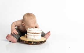 Little boy eating a cake on a white background