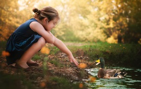 Little girl plays with a duck in the water