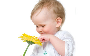 Smiling baby with yellow gerbera flower on a white background