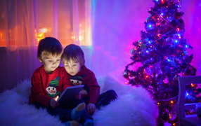 Два маленьких мальчика смотрят мультики у новогодней елки