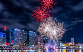 Beautiful festive fireworks against the background of the night city of Sydney