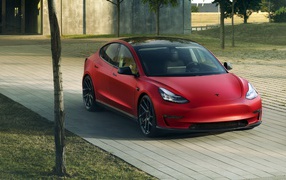 2019 Red Novitec Tesla Model 3 Car