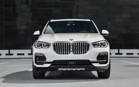 White BMW X5 2018 SUV front view
