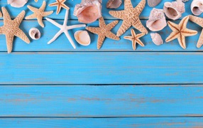 Seashells and starfishes on a blue wooden background