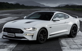 2019 Ford Mustang GT Black Shadow white car on the road