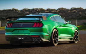 Ford Mustang Shelby GT500 green sports car, 2020 rear view