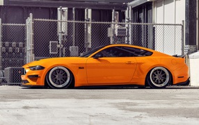 Mustang orange car at the fence