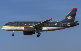 Пассажирский  Airbus A319-100 авиакомпании  Royal Jordanian в небе 